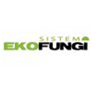 Sistem ekofungi